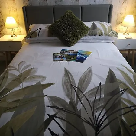 The Phoenix סקארבורו