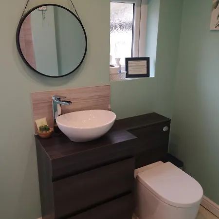 The Phoenix סקארבורו